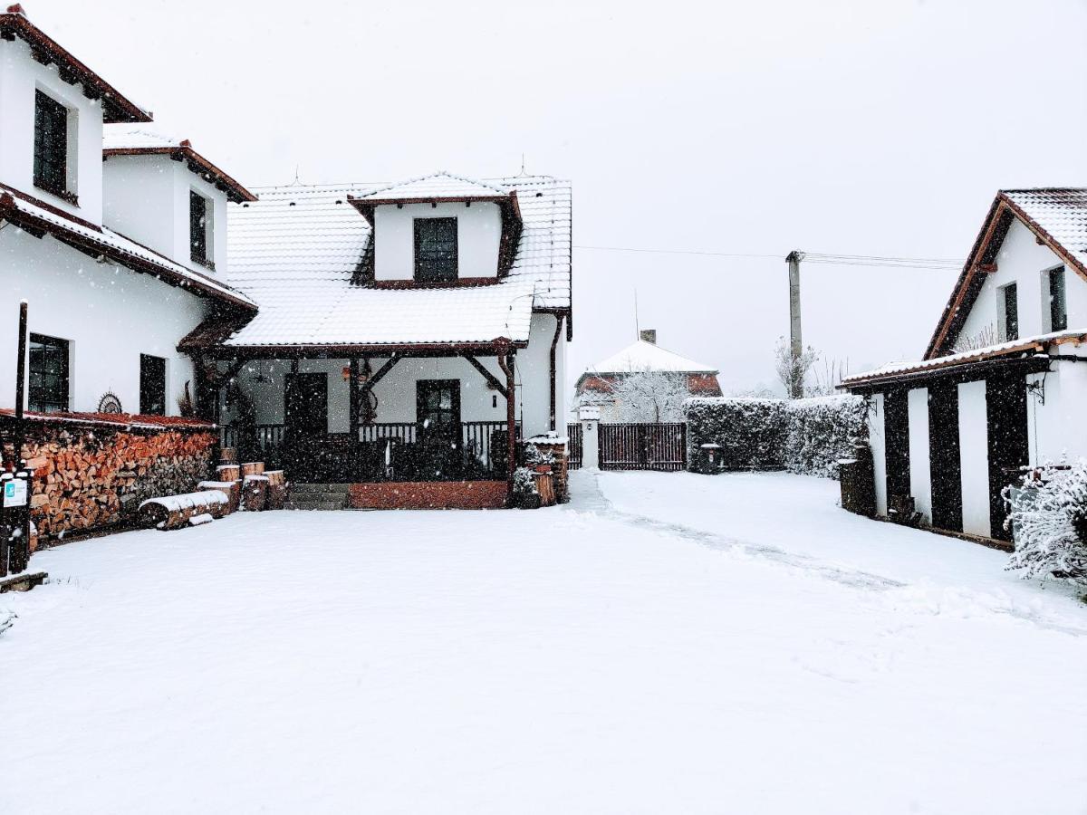 Penzion Beako Na "Pinglu" Votice Buitenkant foto